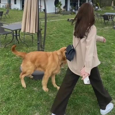 死因之谜